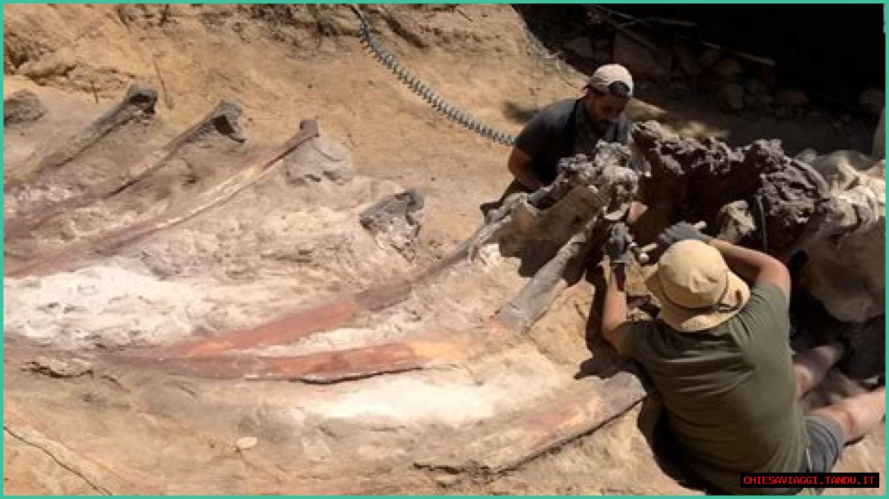 Digging Deep Into The Abby Berner Leaks: Uncovering Secrets And Consequences